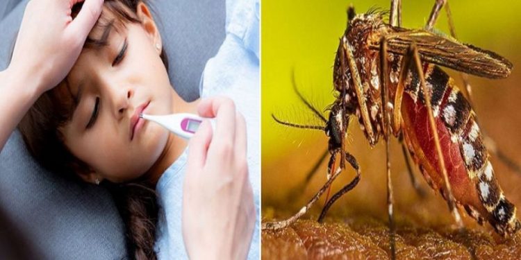 ডেঙ্গুজ্বর ও সাধারণ ভাইরাস জ্বরের মধ্যে পার্থক্য জানুন-