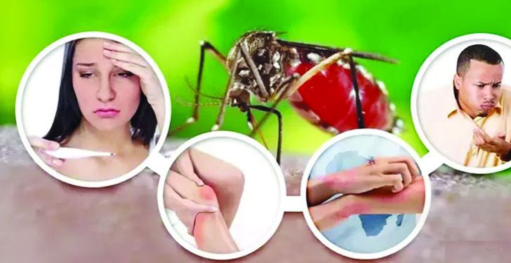 ডেঙ্গুজ্বর সম্পর্কিত যে ভুল তথ্যগুলো এড়িয়ে যাবেন