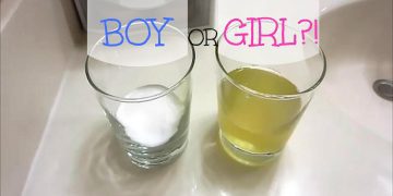 মাতৃগর্ভে থাকা সন্তানের লিঙ্গ পরিচয় প্রকাশ করা যাবে না জানিয়ে নতুন নীতিমালা